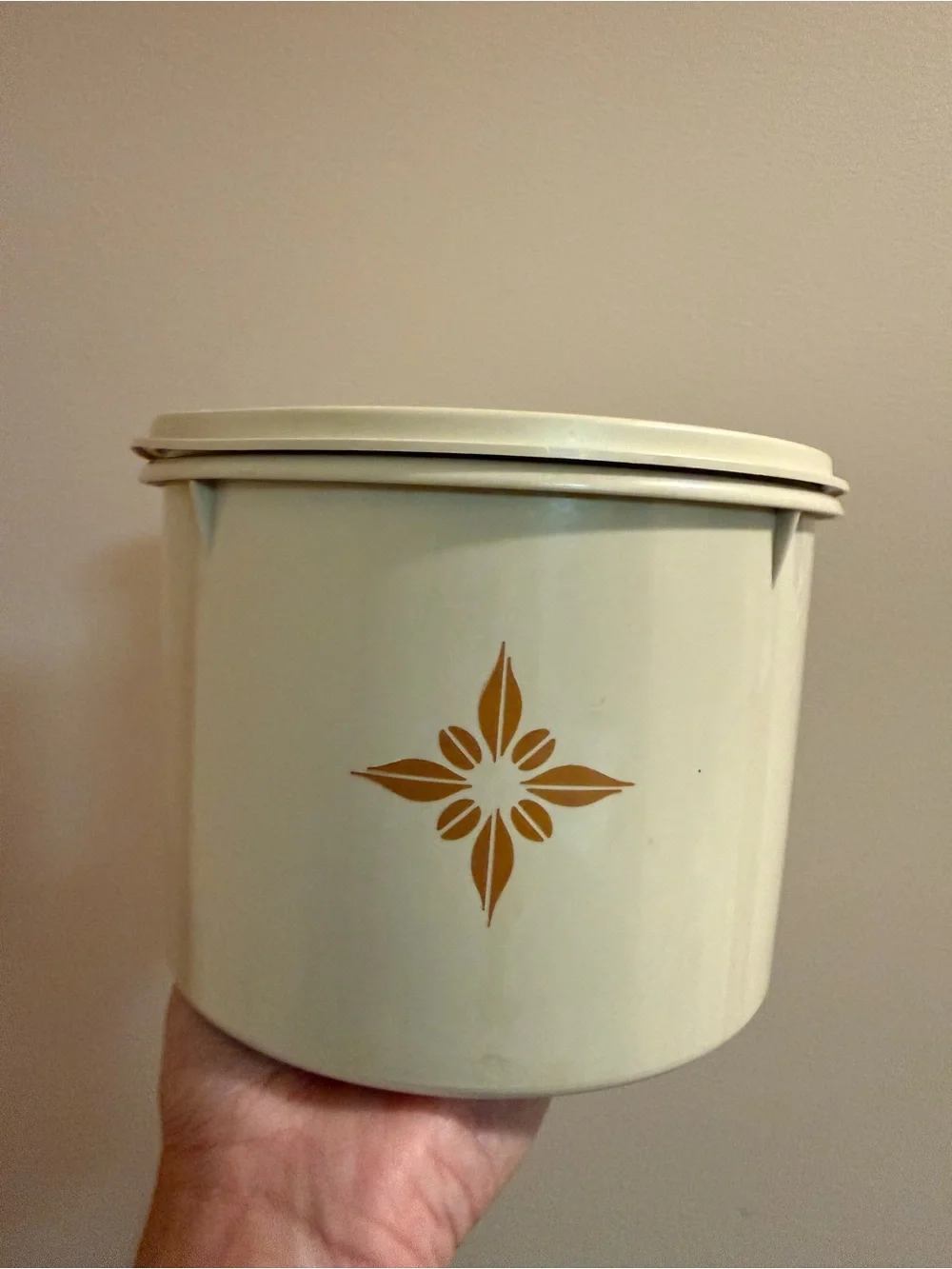 Tupperware set cream